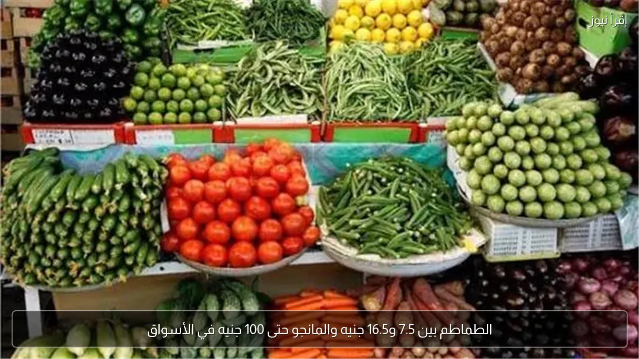 الطماطم بين 7.5 و16.5 جنيه والمانجو حتى 100 جنيه في الأسواق