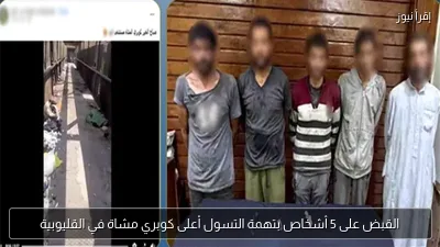 القبض على 5 أشخاص بتهمة التسول أعلى كوبري مشاة في القليوبية