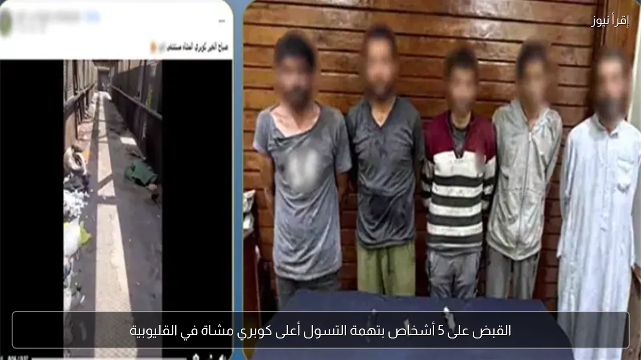 القبض على 5 أشخاص بتهمة التسول أعلى كوبري مشاة في القليوبية