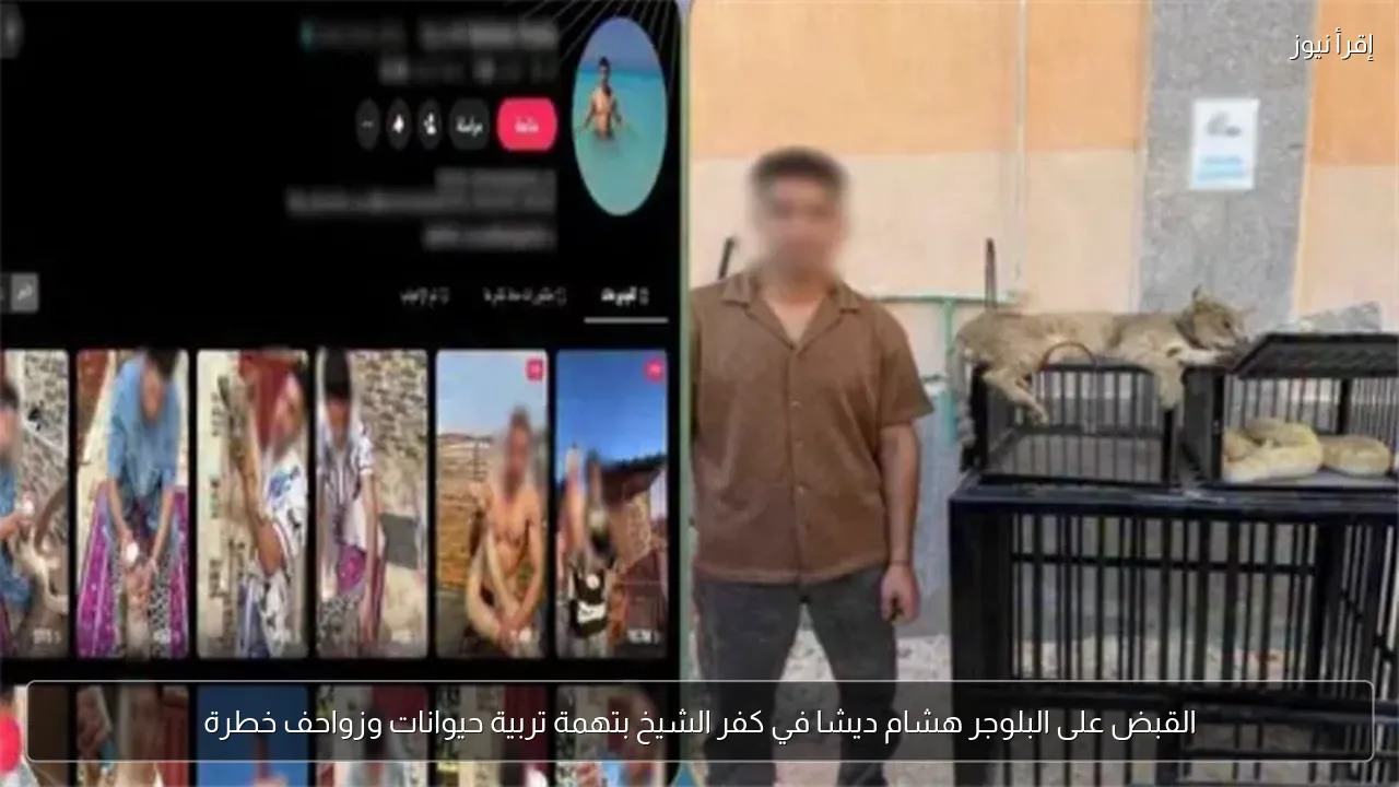 القبض على البلوجر هشام ديشا في كفر الشيخ بتهمة تربية حيوانات وزواحف خطرة