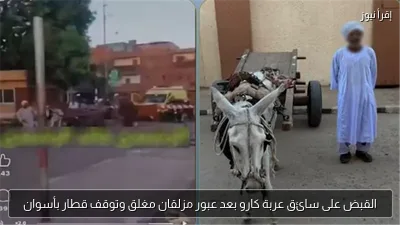 القبض على سائق عربة كارو بعد عبور مزلقان مغلق وتوقف قطار بأسوان