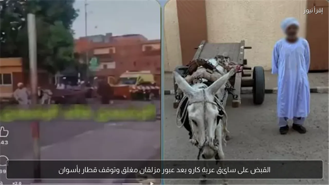 القبض على سائق عربة كارو بعد عبور مزلقان مغلق وتوقف قطار بأسوان