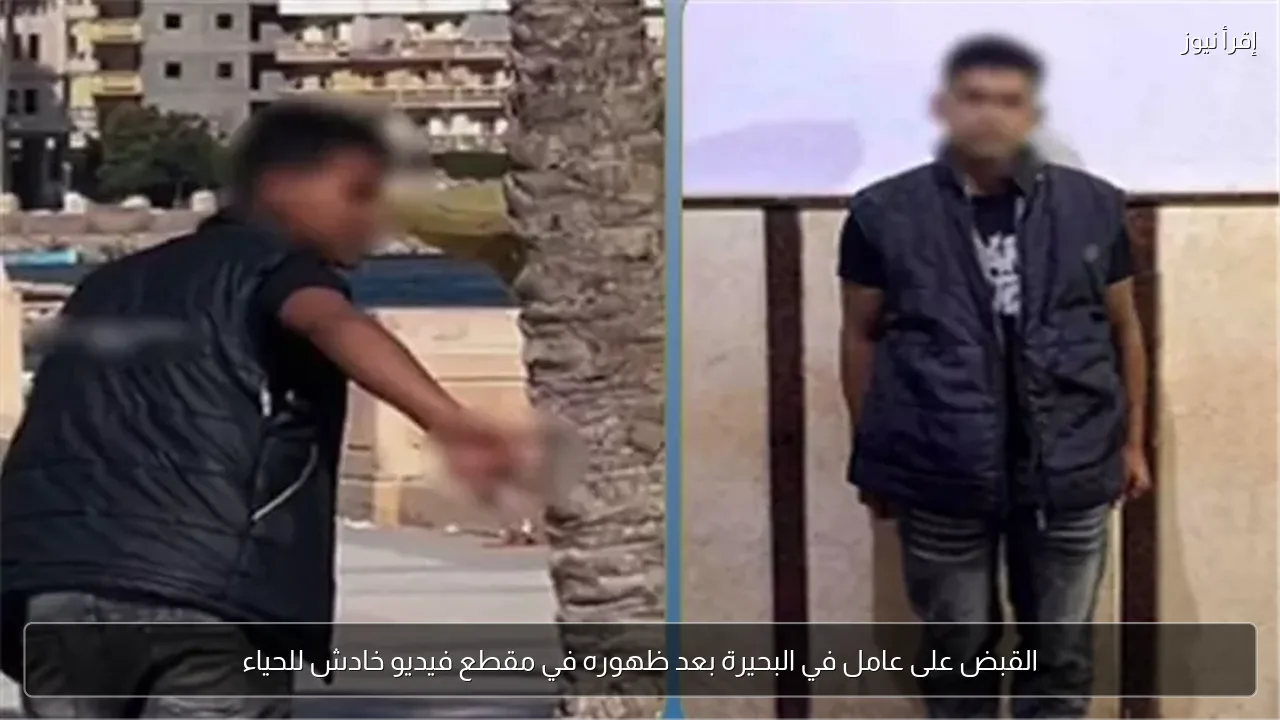 القبض على عامل في البحيرة بعد ظهوره في مقطع فيديو خادش للحياء