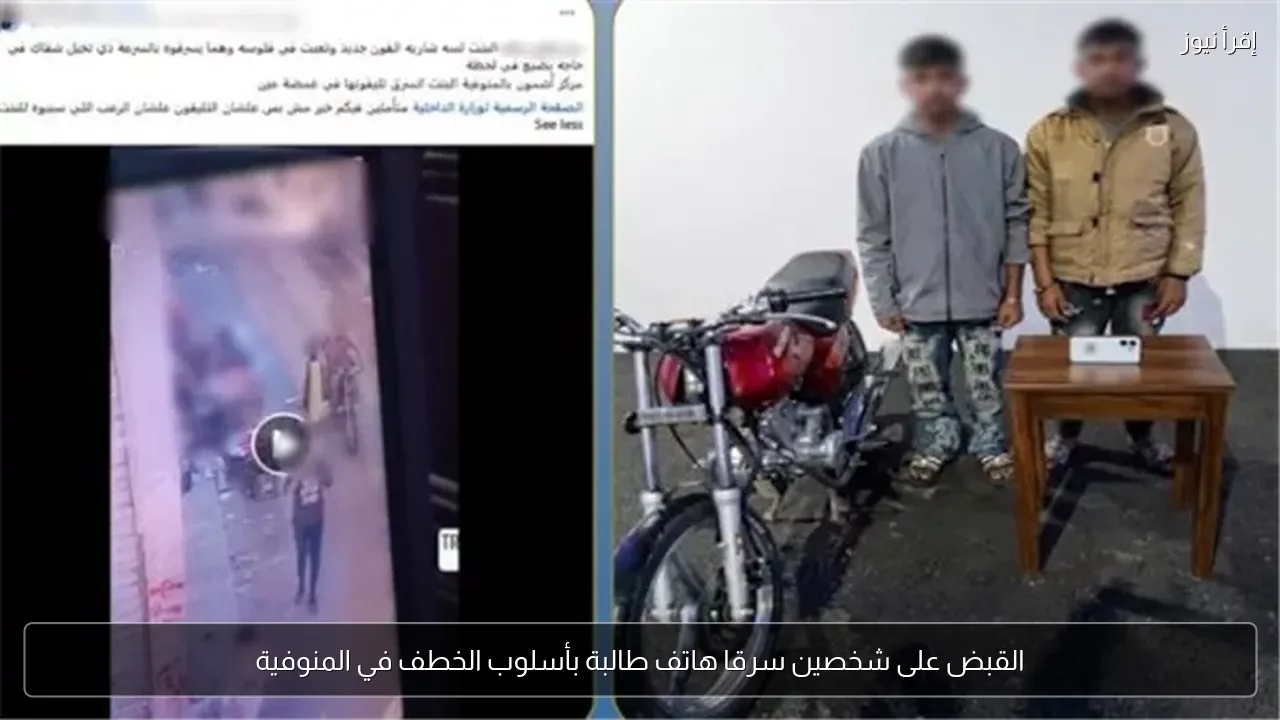 القبض على شخصين سرقا هاتف طالبة بأسلوب الخطف في المنوفية