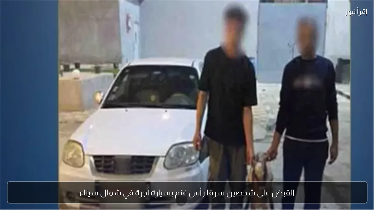 القبض على شخصين سرقا رأس غنم بسيارة أجرة في شمال سيناء