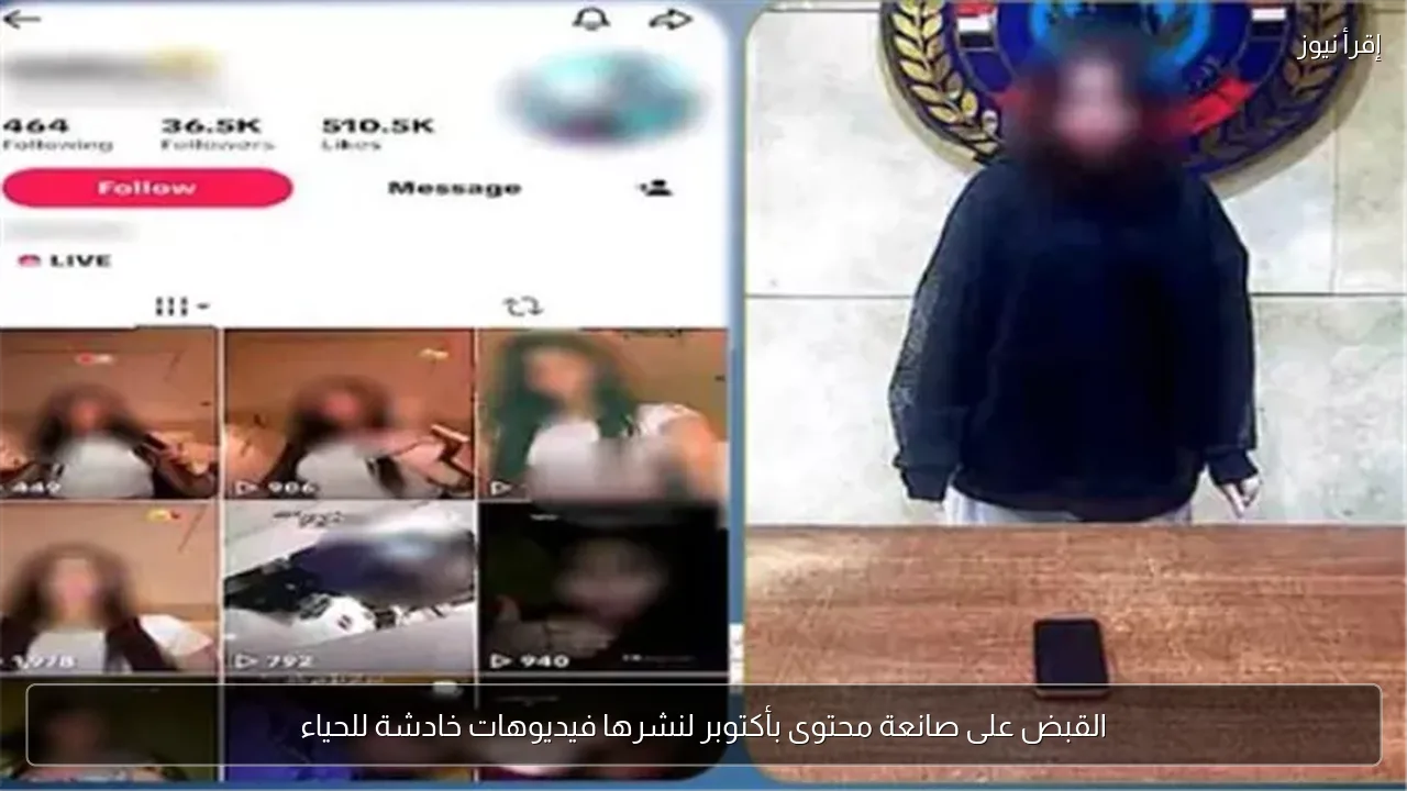 القبض على صانعة محتوى بأكتوبر لنشرها فيديوهات خادشة للحياء