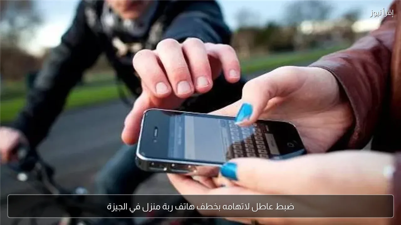 ضبط عاطل لاتهامه بخطف هاتف ربة منزل في الجيزة
