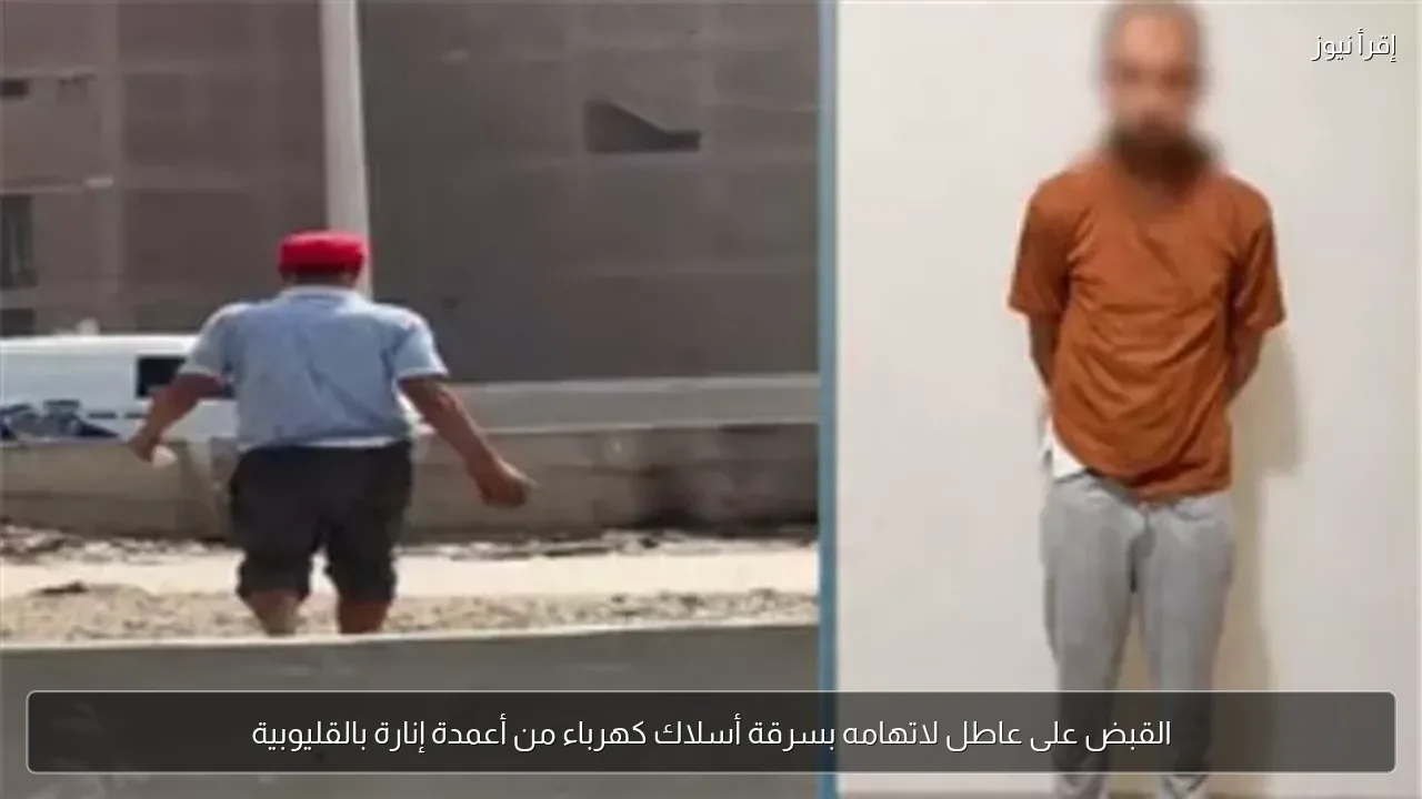 القبض على عاطل لاتهامه بسرقة أسلاك كهرباء من أعمدة إنارة بالقليوبية