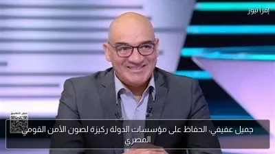 جميل عفيفي: الحفاظ على مؤسسات الدولة ركيزة لصون الأمن القومي المصري