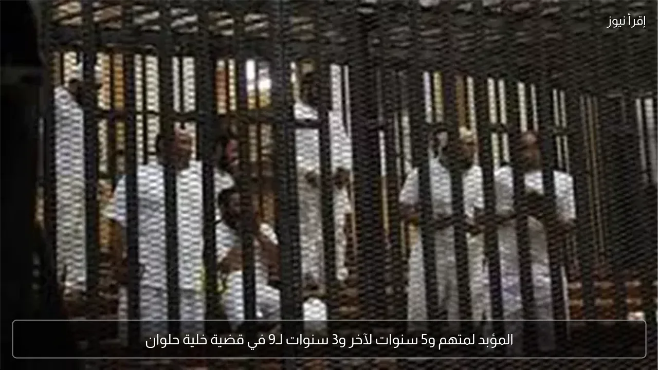 المؤبد لمتهم و5 سنوات لآخر و3 سنوات لـ9 في قضية خلية حلوان