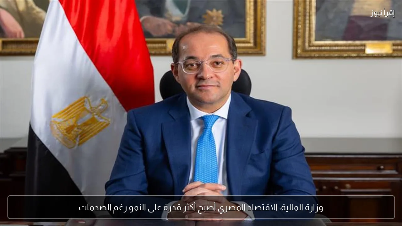 وزارة المالية: الاقتصاد المصري أصبح أكثر قدرة على النمو رغم الصدمات