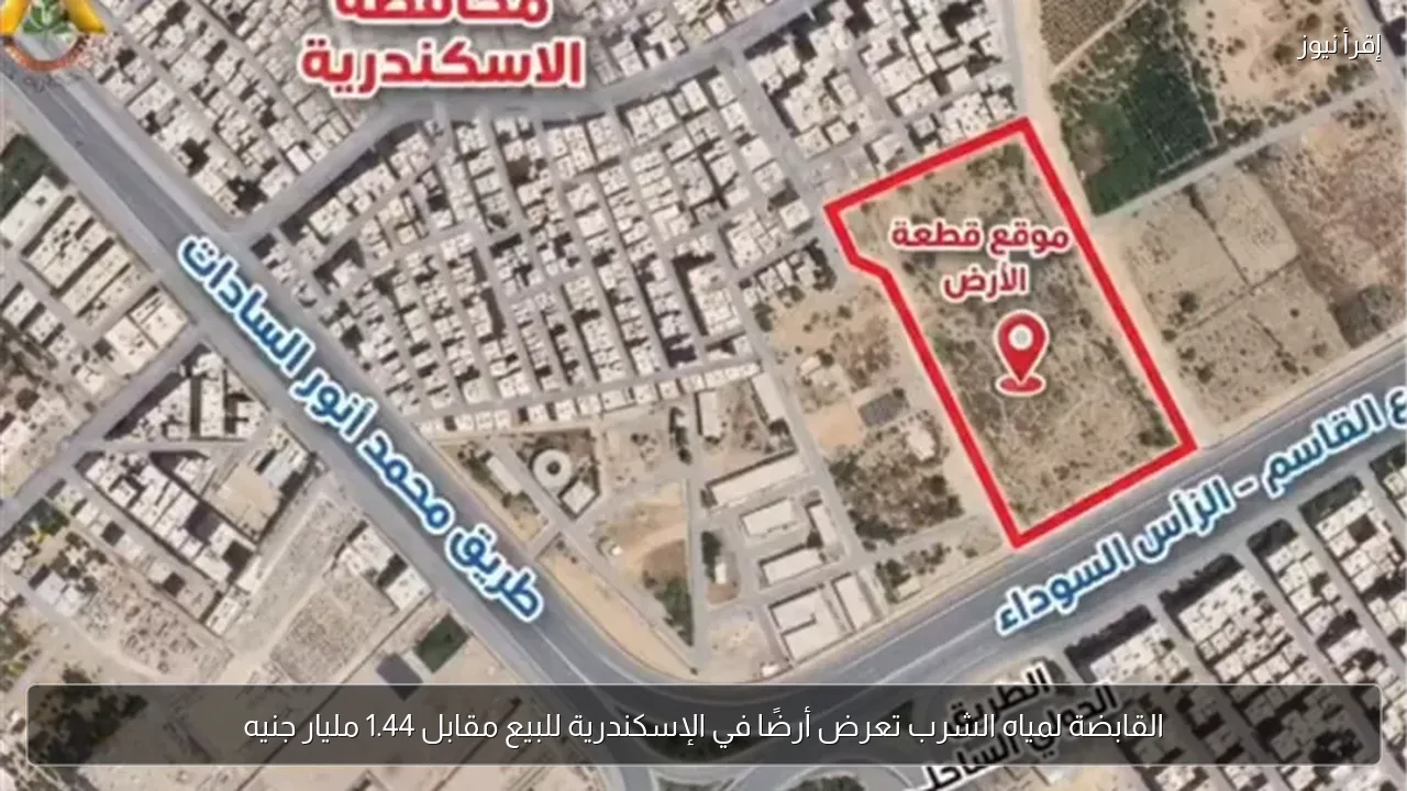 القابضة لمياه الشرب تعرض أرضًا في الإسكندرية للبيع مقابل 1.44 مليار جنيه