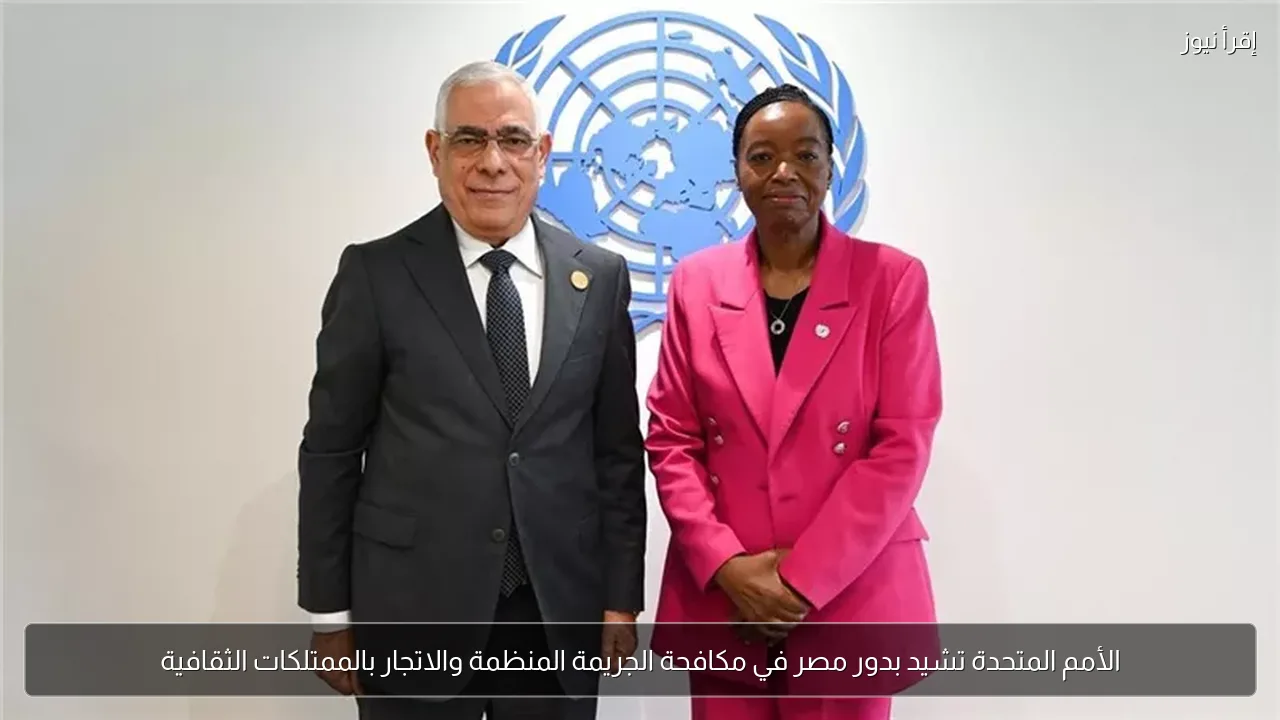 الأمم المتحدة تشيد بدور مصر في مكافحة الجريمة المنظمة والاتجار بالممتلكات الثقافية