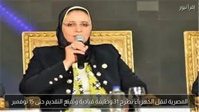 المصرية لنقل الكهرباء تطرح 31 وظيفة قيادية وتفتح التقديم حتى 15 نوفمبر