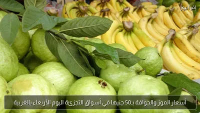 أسعار الموز والجوافة بـ50 جنيها في أسواق التجزئة اليوم الأربعاء بالغربية