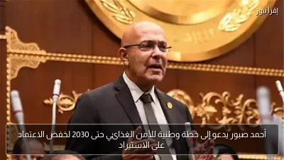أحمد صبور يدعو إلى خطة وطنية للأمن الغذائي حتى 2030 لخفض الاعتماد على الاستيراد