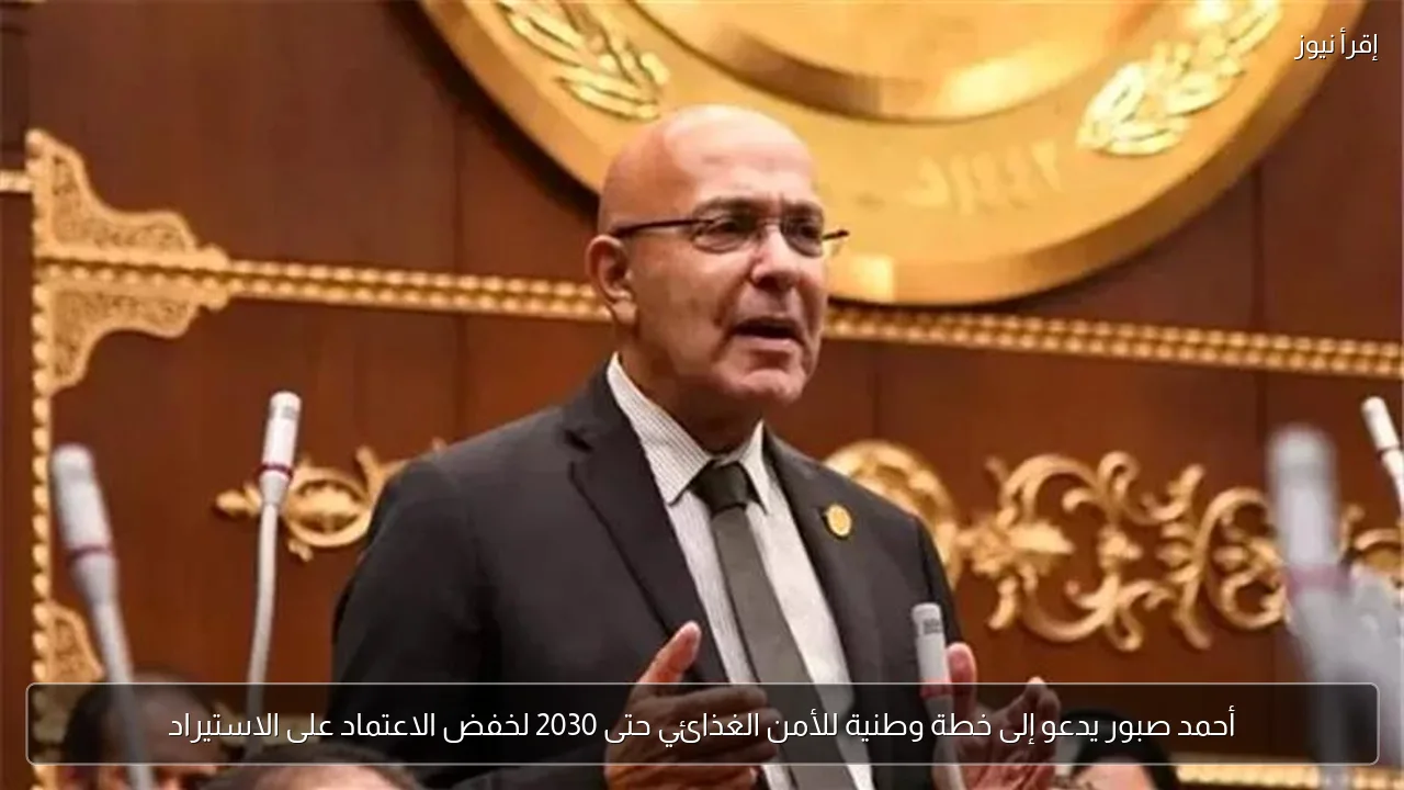 أحمد صبور يدعو إلى خطة وطنية للأمن الغذائي حتى 2030 لخفض الاعتماد على الاستيراد