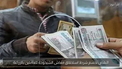 النقض تحسم شرط استحقاق معاش الشيخوخة للعاملين بالزراعة