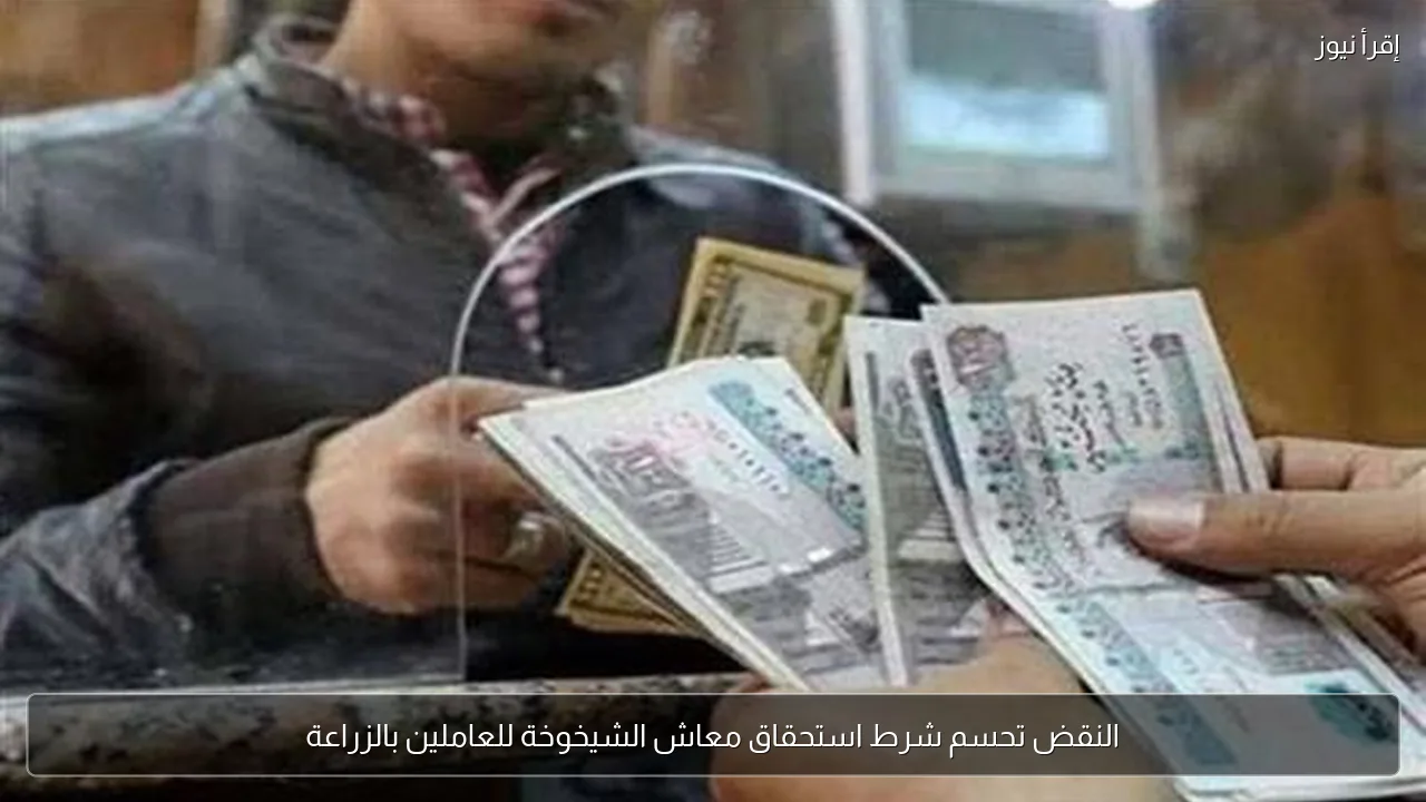 النقض تحسم شرط استحقاق معاش الشيخوخة للعاملين بالزراعة