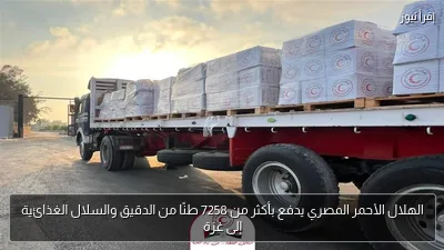 الهلال الأحمر المصري يدفع بأكثر من 7258 طنًا من الدقيق والسلال الغذائية إلى غزة