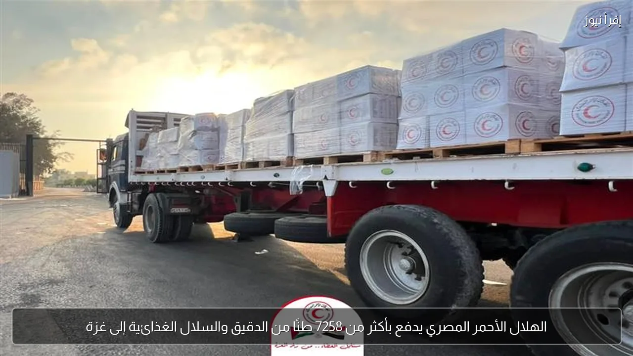 الهلال الأحمر المصري يدفع بأكثر من 7258 طنًا من الدقيق والسلال الغذائية إلى غزة