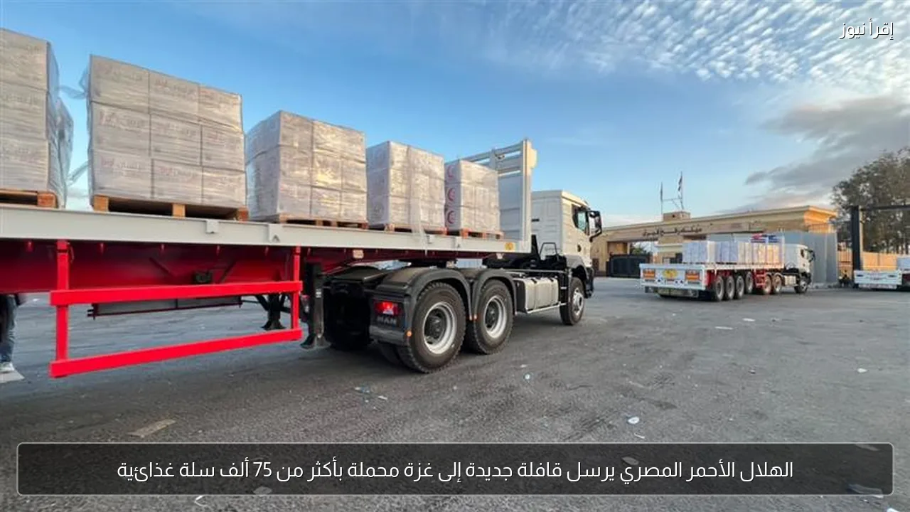 الهلال الأحمر المصري يرسل قافلة جديدة إلى غزة محملة بأكثر من 75 ألف سلة غذائية
