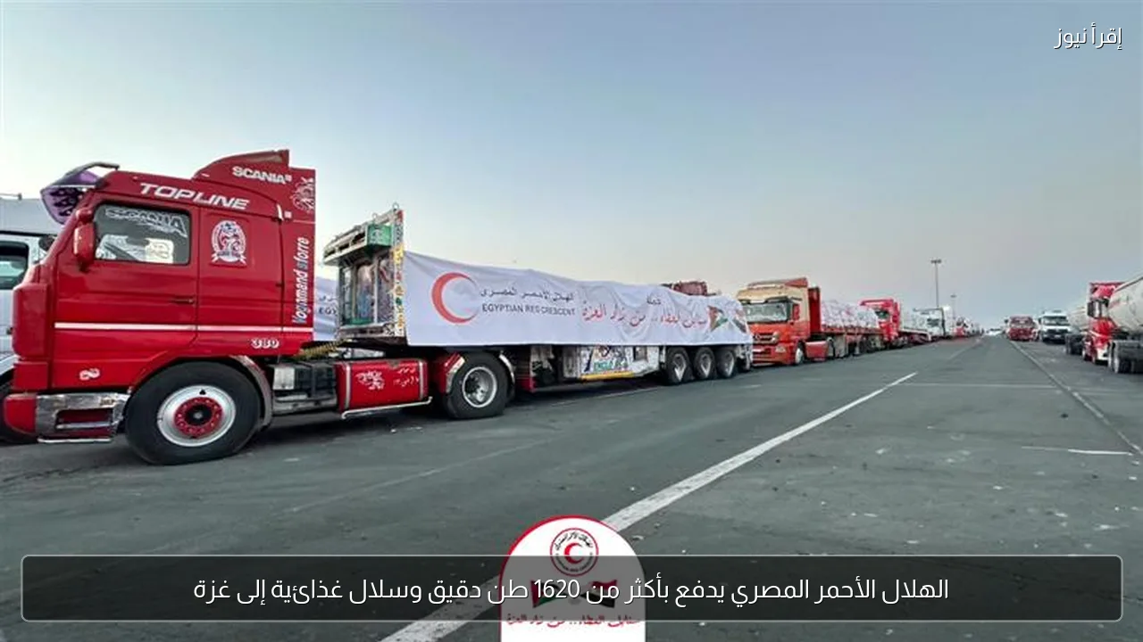 الهلال الأحمر المصري يدفع بأكثر من 1620 طن دقيق وسلال غذائية إلى غزة