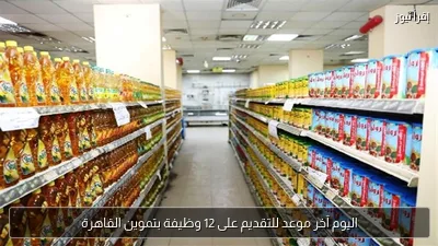 اليوم آخر موعد للتقديم على 12 وظيفة بتموين القاهرة