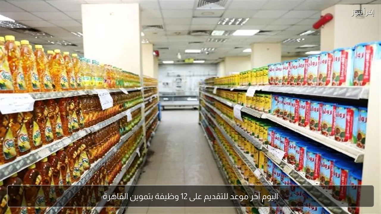 اليوم آخر موعد للتقديم على 12 وظيفة بتموين القاهرة