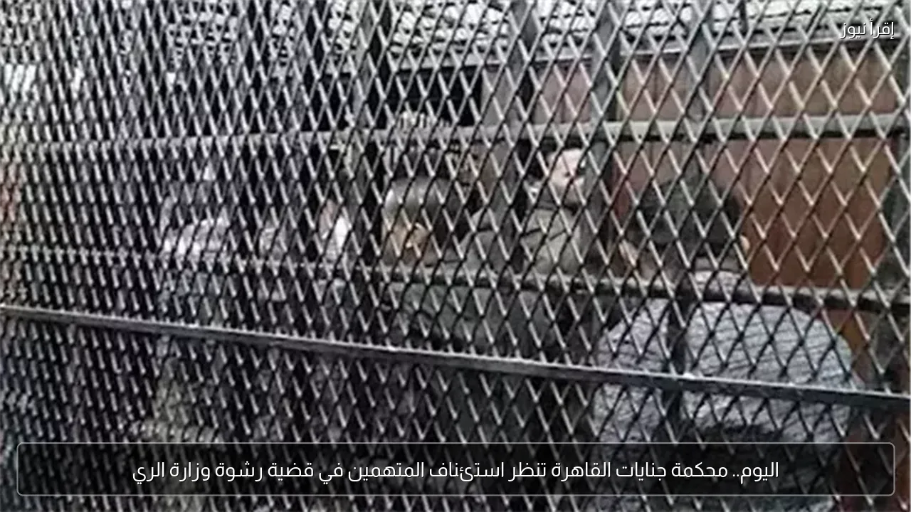 اليوم.. محكمة جنايات القاهرة تنظر استئناف المتهمين في قضية رشوة وزارة الري