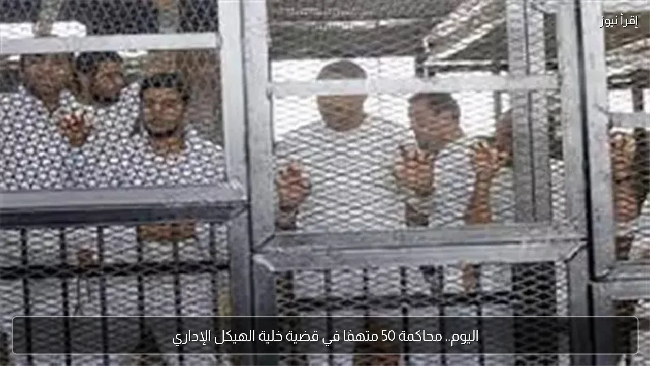اليوم.. محاكمة 50 متهمًا في قضية خلية الهيكل الإداري