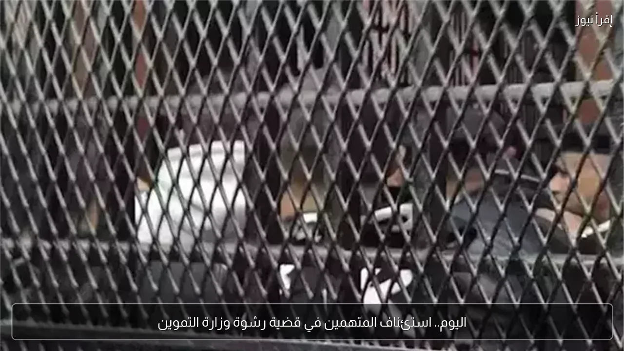 اليوم.. استئناف المتهمين في قضية رشوة وزارة التموين