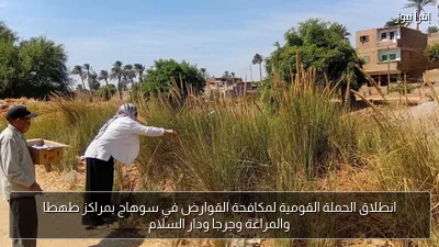انطلاق الحملة القومية لمكافحة القوارض في سوهاج بمراكز طهطا والمراغة وجرجا ودار السلام