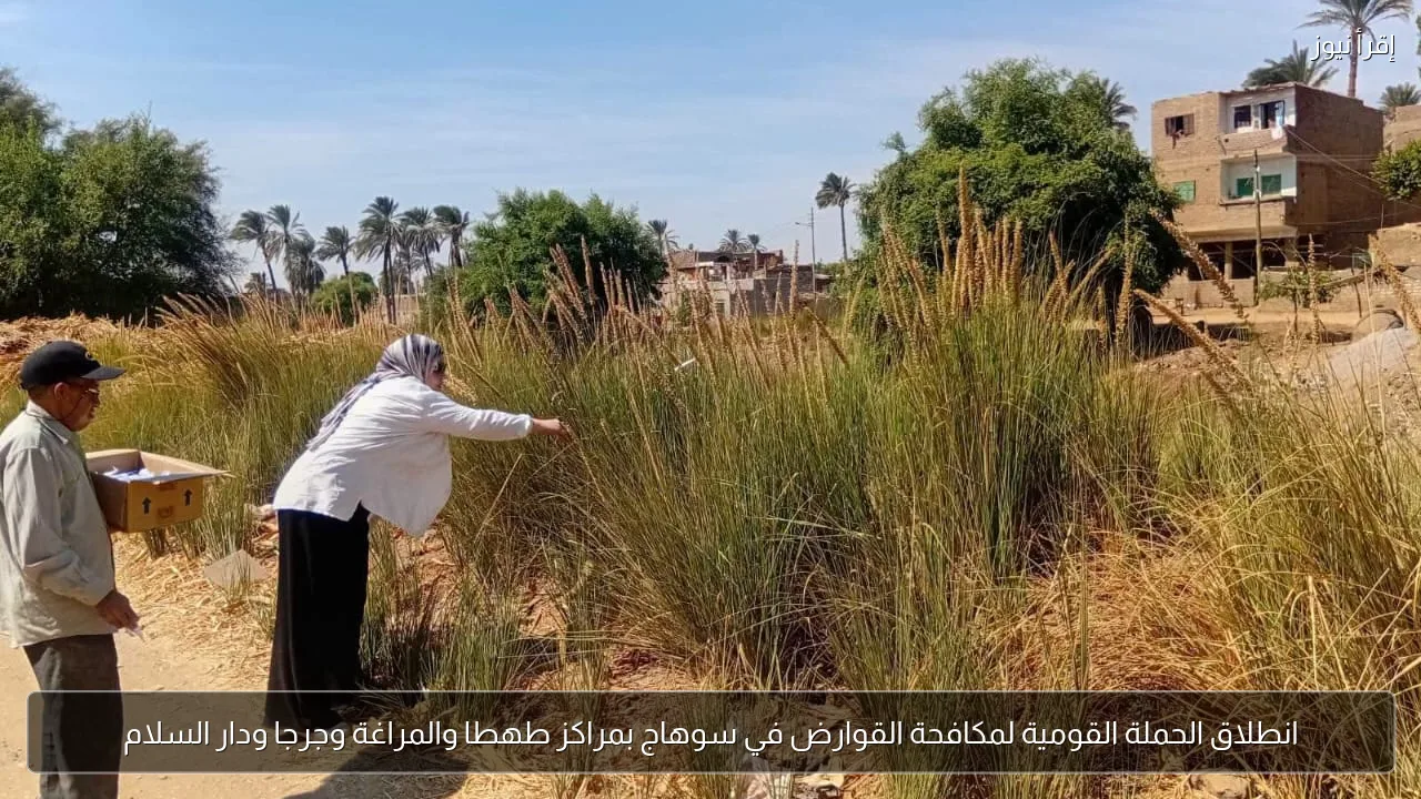 انطلاق الحملة القومية لمكافحة القوارض في سوهاج بمراكز طهطا والمراغة وجرجا ودار السلام