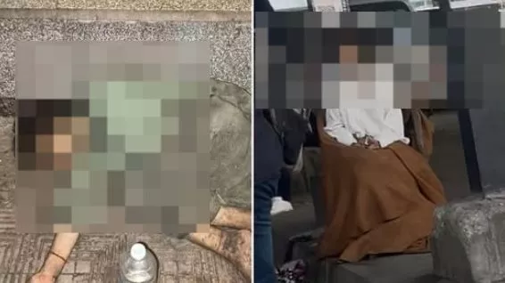 المشردة