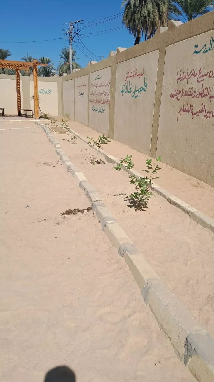 مبادرة ازرع فكرة تغرس أشجارا وتوعي طلاب الأقصر بالتغير المناخي