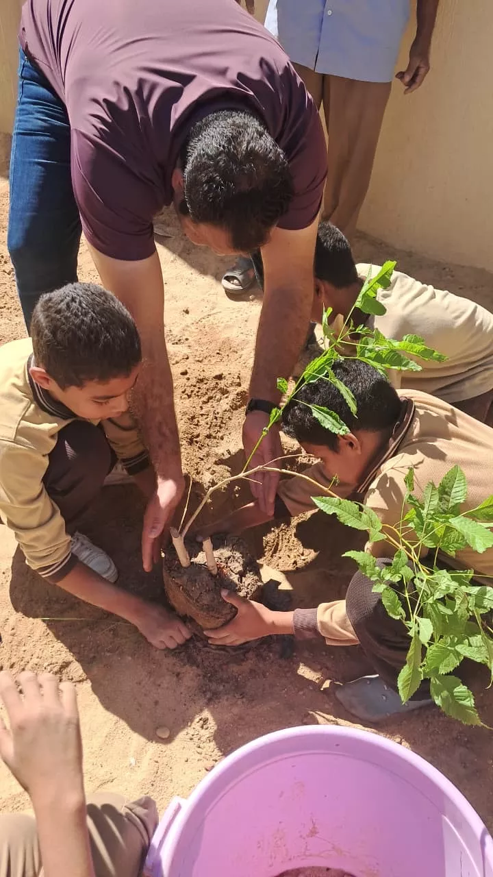 مبادرة ازرع فكرة تغرس أشجارا وتوعي طلاب الأقصر بالتغير المناخي