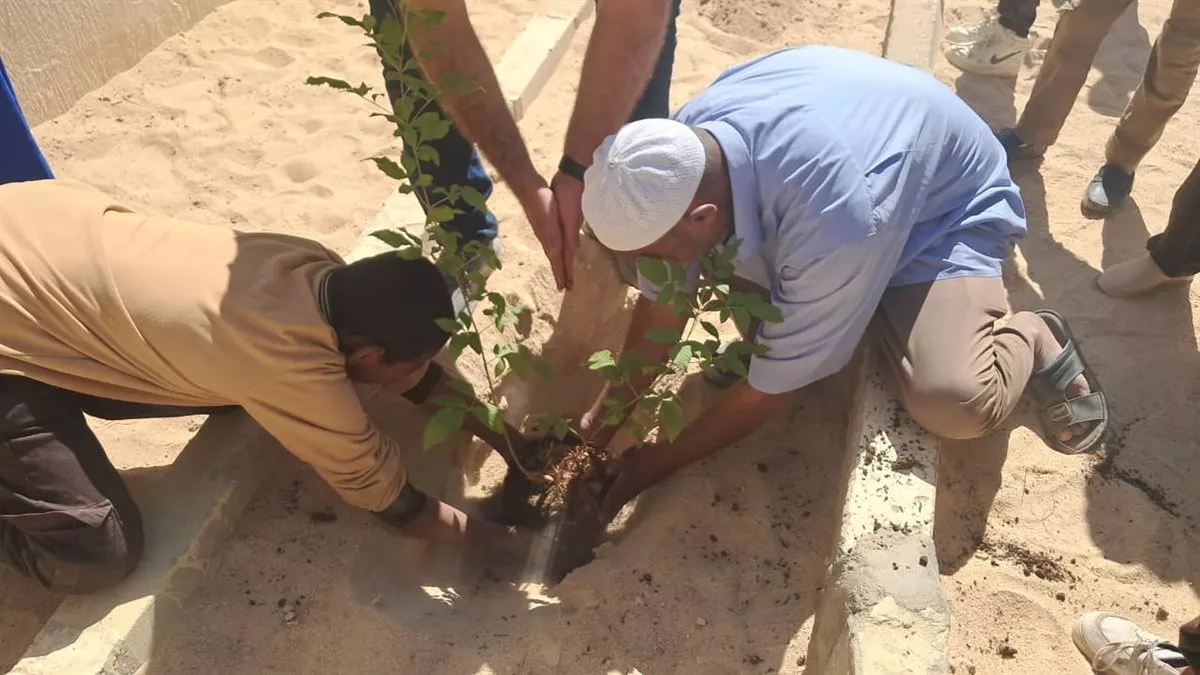 مبادرة ازرع فكرة تغرس أشجارا وتوعي طلاب الأقصر بالتغير المناخي