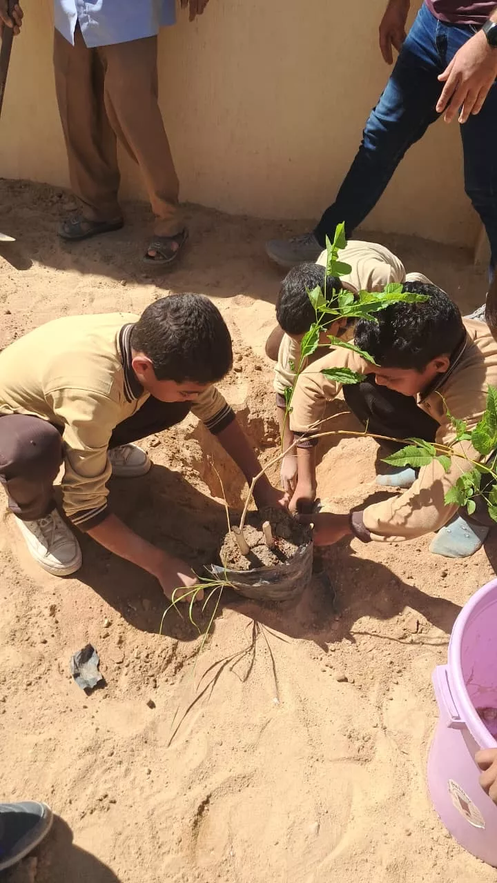 مبادرة ازرع فكرة تغرس أشجارا وتوعي طلاب الأقصر بالتغير المناخي