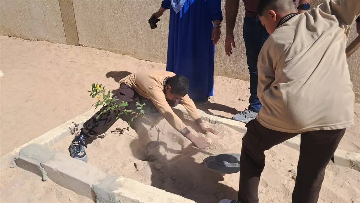 مبادرة ازرع فكرة تغرس أشجارا وتوعي طلاب الأقصر بالتغير المناخي