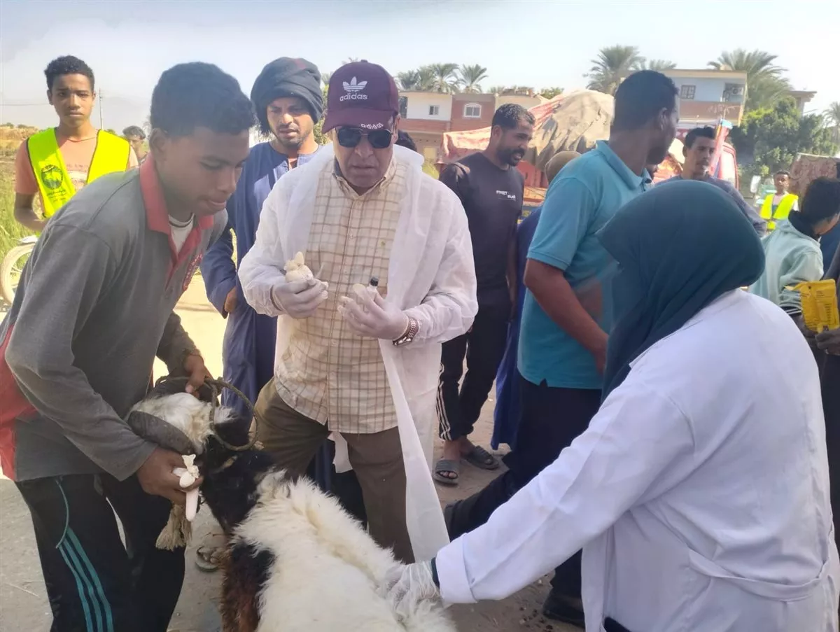 بيطري الأقصر يعالج 1017 حيوانا وطائرا مجانا في العديسات