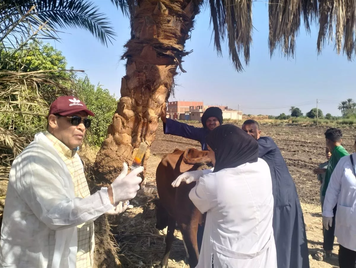 بيطري الأقصر يعالج 1017 حيوانا وطائرا مجانا في العديسات