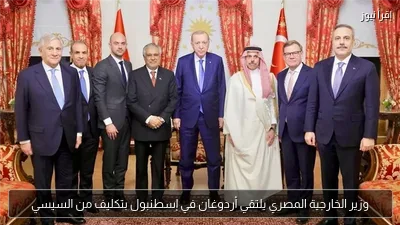 وزير الخارجية المصري يلتقي أردوغان في إسطنبول بتكليف من السيسي