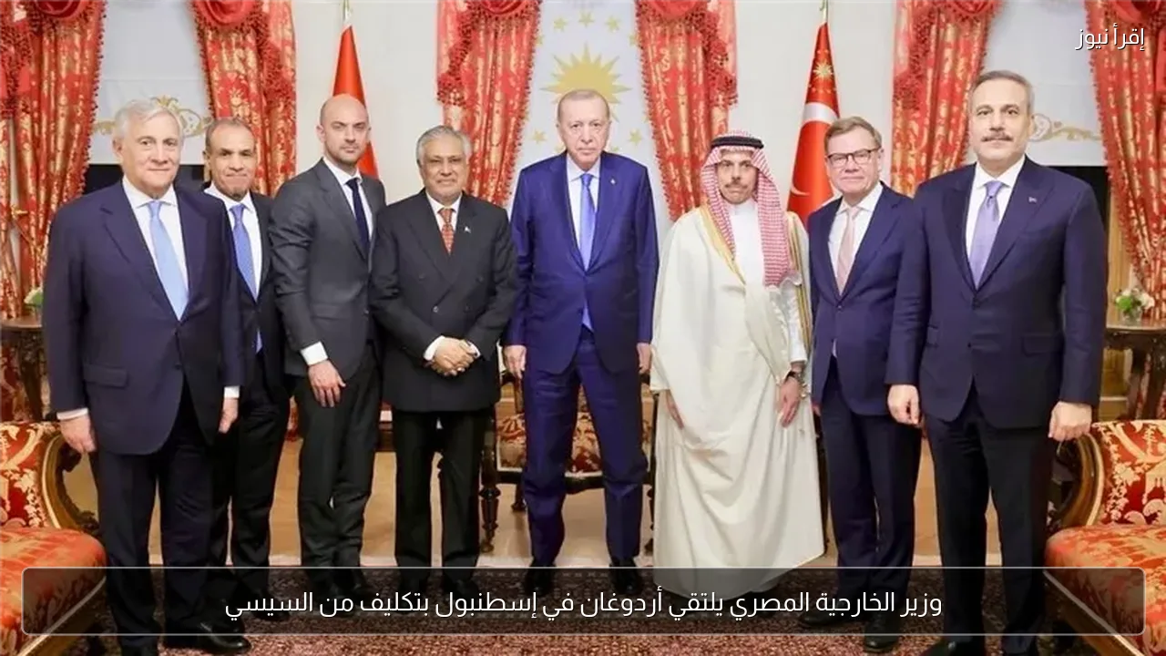وزير الخارجية المصري يلتقي أردوغان في إسطنبول بتكليف من السيسي