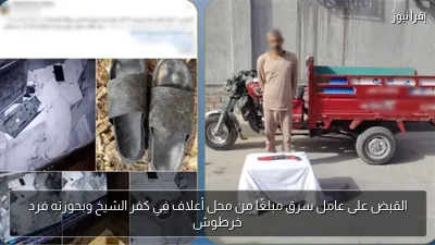 القبض على عامل سرق مبلغًا من محل أعلاف في كفر الشيخ وبحوزته فرد خرطوش