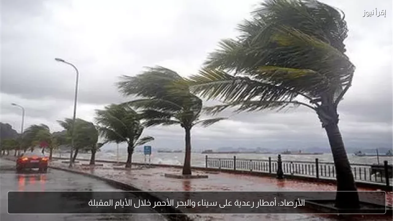 الأرصاد: أمطار رعدية على سيناء والبحر الأحمر خلال الأيام المقبلة