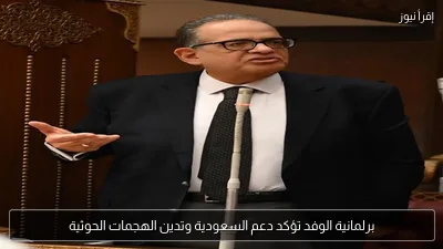 برلمانية الوفد تؤكد دعم السعودية وتدين الهجمات الحوثية