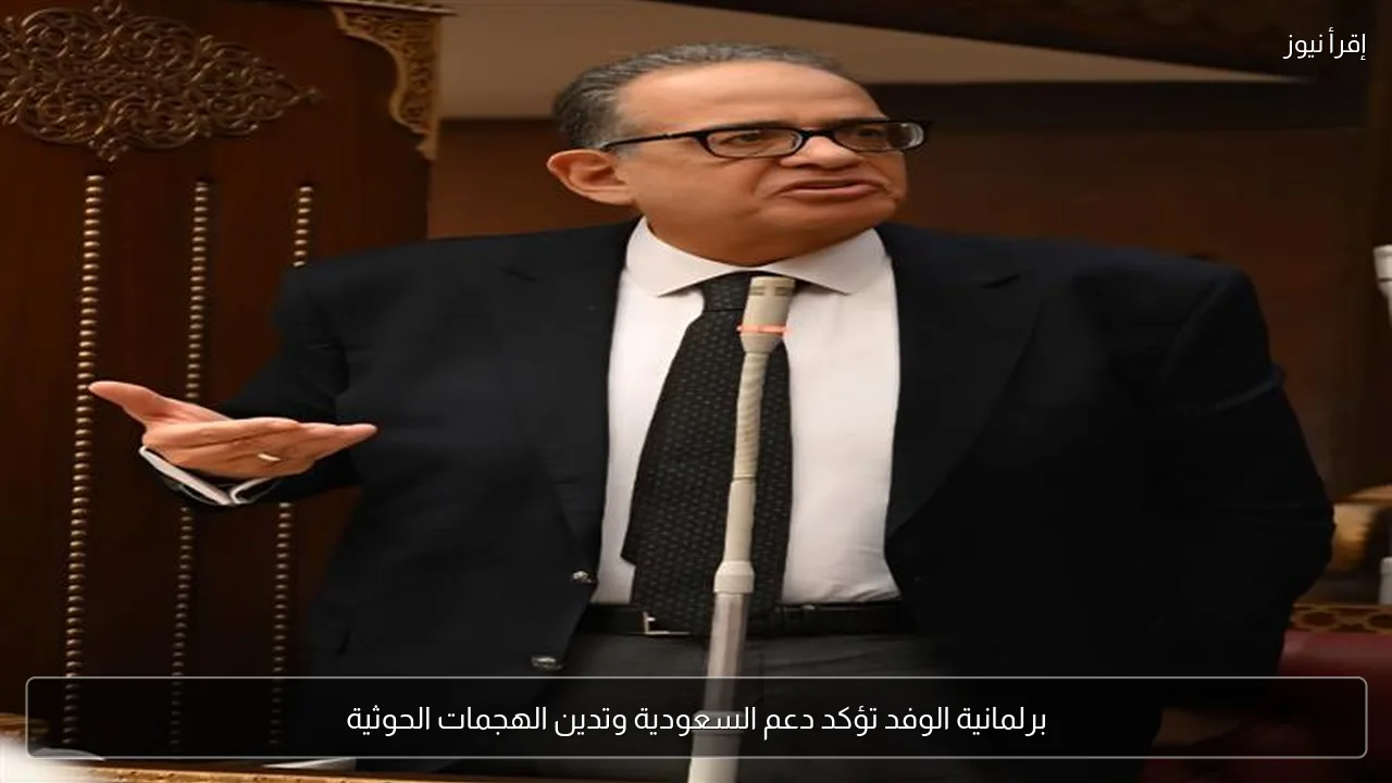 برلمانية الوفد تؤكد دعم السعودية وتدين الهجمات الحوثية
