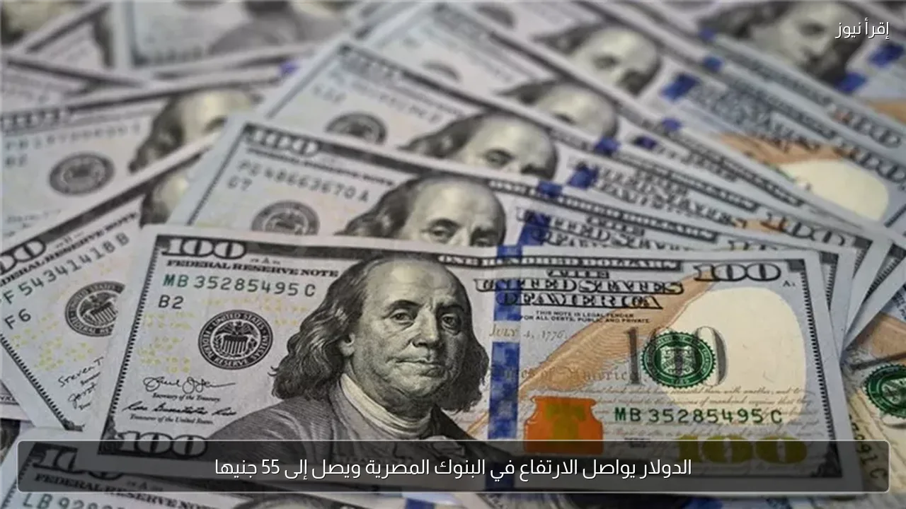 الدولار يواصل الارتفاع في البنوك المصرية ويصل إلى 55 جنيها