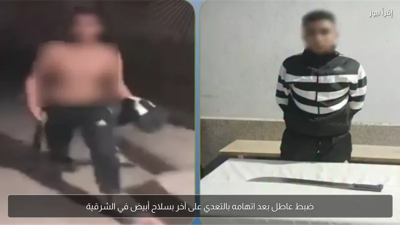 ضبط عاطل بعد اتهامه بالتعدي على آخر بسلاح أبيض في الشرقية